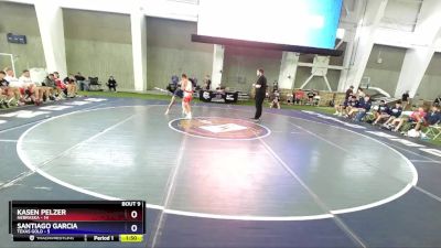 113 lbs Round 3 (8 Team) - Kasen Pelzer, Nebraska vs Santiago Garcia, Texas Gold