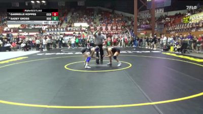 125 lbs Quarterfinal - Gabrielle Koppes, Clay Center Community HS vs Sadey Gross, Holton Hs