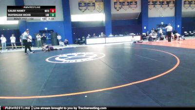 133 lbs Quarterfinal - Wayshuan Hicks, Liberty vs Caleb Haney, Noke Wrestling RTC