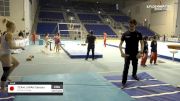 Team Japan Seniors - Vault, Official Training - 2019 City of Jesolo Trophy
