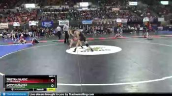 3rd Place Match - Tristan Vladic, Billings Senior vs Davin Naldret, Flathead (Kalispell)