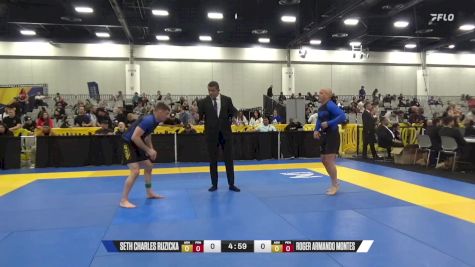 Roger Armando Montes vs Seth Charles Ruzicka 2024 World IBJJF Jiu-Jitsu No-Gi Championship