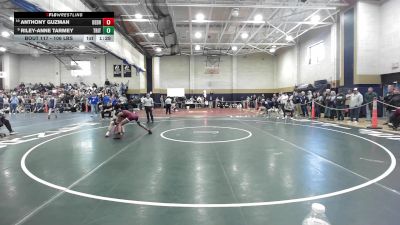 106 lbs Consi Of 8 #1 - Anthony Guzman, Dedham vs Riley-Anne Tarmey, Triton