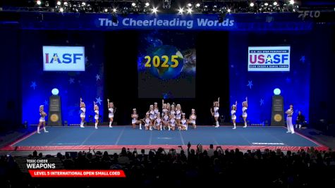 Toxic Cheer - Weapons [2025 L5 International Open Small Coed Semis] 2025 The Cheerleading Worlds