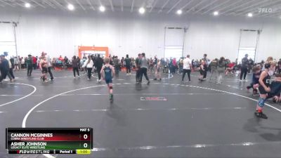 75 lbs Champ. Round 1 - Cannon McGinnes, Cobra Wrestling Club vs Asher Johnson, Legacy Elite Wrestling