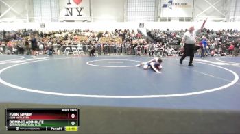 66 lbs Cons. Round 2 - Dominic Adinolfe, Newfane Wrestling Club vs Evan Neske, Club Not Listed