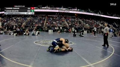 4A 165 lbs Champ. Round 1 - Gabriel Sadler, Green Level vs Lucas Nolette, West Forsyth High School