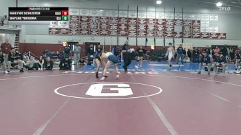 138 lbs Final - Kailynn Schuster, Quabbin vs Baylee Teixeira, Bristol County/Dighton Rehoboth