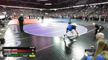 D3-138 lbs Semifinal - Dominic Leintz, Clear Lake vs Colton Weiler, Auburndale