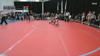 110 lbs Round 3 (6 Team) - Ethan Halstead, Rebellion vs Emmitt Williams, Ohio Gold Black