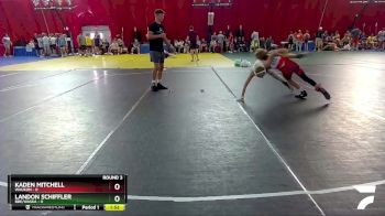 106 lbs Round 3 (4 Team) - Landon Schiffler, BBE/Waska vs Kaden Mitchell, Waukon