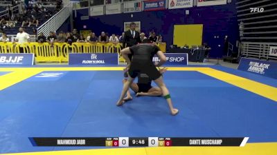 Dante Muschamp vs Mahmoud Jabr 2025 Pan IBJJF Jiu-Jitsu No-Gi Championship