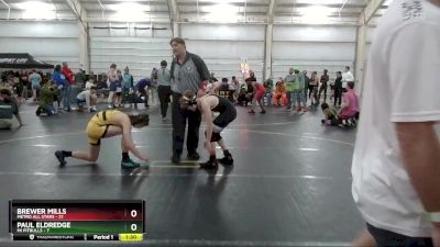 115 lbs Round 3 (4 Team) - Brewer Mills, Metro All Stars vs Paul Eldredge, Mi Pitbulls