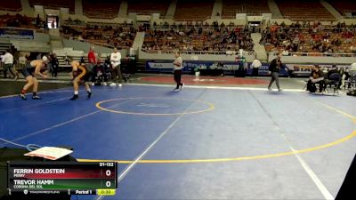 D1-132 lbs Cons. Round 2 - Ferrin Goldstein, Perry vs Trevor Hamm, Corona Del Sol