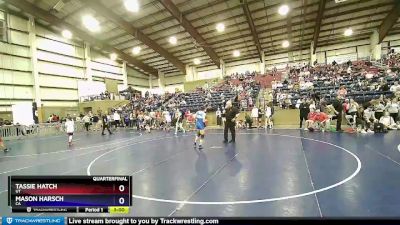 127 lbs Quarterfinal - Tassie Hatch, UT vs Mason Harsch, CA