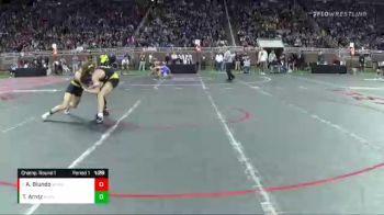 D1-140 lbs Champ. Round 1 - Alex Biundo, Wyandotte Roosevelt vs Tyler Arntz, Hudsonville HS