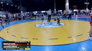 60 lbs Semifinal - Channing Cerdas, Great Neck Wrestling Club vs Brantley Cook, Twisted Joker Wrestling