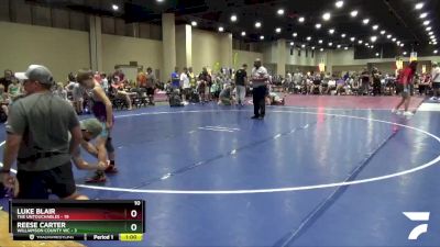 65 lbs Round 1 (8 Team) - Reese Carter, Williamson County WC vs Luke Blair, The Untouchables