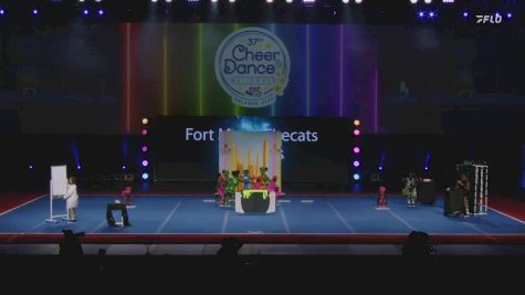 Fort Myers Firecats Sparklers - Southeast [2024 Peace River Pop Warner Wednesday] 2024 Pop Warner National Cheer & Dance Championship