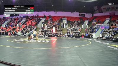 165 lbs Semifinals (8 Team) - Andrew White, Detroit Catholic Central HS vs Trey Setter, Clarkston HS