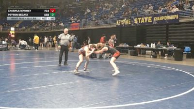 132 lbs Quarterfinal - Cadence Manney, Palmyra vs Peyton Segata, Council Rock South