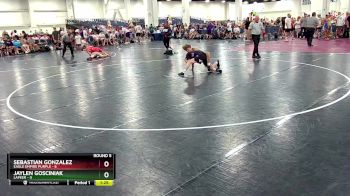 113 lbs Round 5 (10 Team) - Sebastian Gonzalez, Eagle Empire Purple vs Jaylen Gosciniak, Lapeer