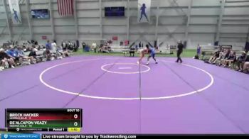 182 lbs 2nd Wrestleback (8 Team) - Brock Hacker, Georgia Blue vs De`Alcapon Veazy, Indiana Gold