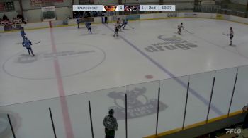 Replay: Home - 2025 Thrashers U18 AAA vs Cougars U18 AAA | Mar 3 @ 7 PM