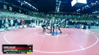 113 lbs Champ. Round 2 - Ja`Shad Wallace, Cook vs Nadir Shalaby, Zephyrhills Christian