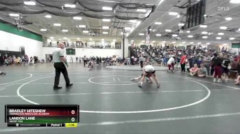 113 lbs Cons. Round 3 - Landon Lane, Angry Fish vs Bradley Hiteshew, Terminator Wrestling Academy
