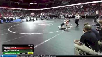 D3-138 lbs 5th Place Match - Kaleb Sonnentag, Cadott vs Dominic Leintz, Clear Lake