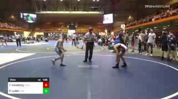 95 lbs Consi Of 4 - Tyler Haneborg, Midwest Destroyers vs Parker Lyden, PINnacle