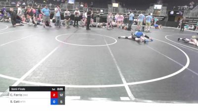 112 lbs Semifinal - Caroline Farris, Dinosaur Destroyers vs Sophia Catt, WTFIT Warriors