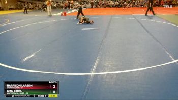 60 lbs Quarterfinals (8 Team) - Harrison Larson, Worthington vs Ivan Libra, Watertown-Mayer