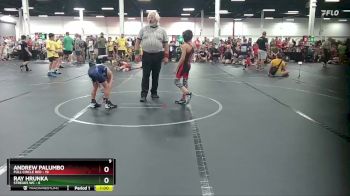 64 lbs Round 5 (6 Team) - Andrew Palumbo, Full Circle Red vs Ray Hrunka, Streaks WC