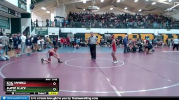 95 lbs Quarterfinal - Mateo Black, Homedale vs Eric Ramirez, Weiser
