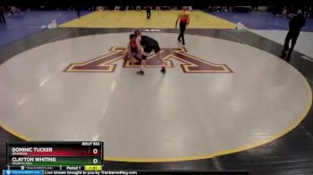 182 lbs Quarterfinal - Clayton Whiting, Oconto Fall vs Dominic Tucker, Brandon