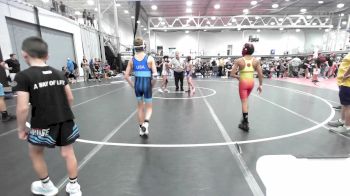 85 lbs Rr Rnd 4 - Alyis Brown, PA Alliance ES A vs Kyle Link, Rampage