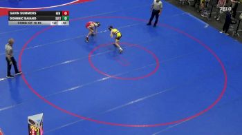 89 lbs Consi Of 16 #2 - Gavin Summers, New Oxford vs Dominic Baiano, South Fayette