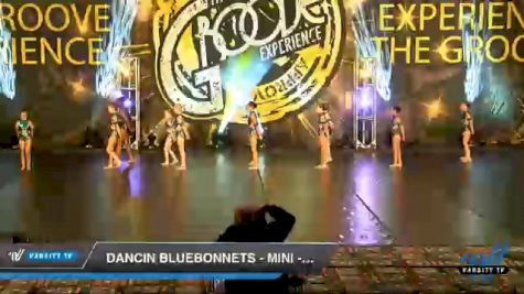 Dancin Bluebonnets - Mini - Jazz [2020 Mini - Jazz Day 1] 2020 Encore Championships: Houston DI & DII