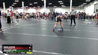 96 lbs Round 2 (8 Team) - Benjamin Layne, FL Scorpions vs Reese Hoover, Quest Wrestling