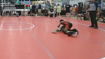 87 lbs Final - Mason Gibson, Revival X - MS vs Carter Watson, Steller Trained 501st - MS