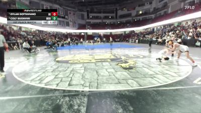 113 lbs 1st Place Match - Dylan Dottaviano, Bishop Kelly vs Colt Buonviri, Middleton