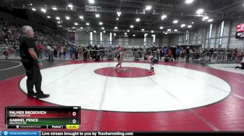 92 lbs Cons. Round 1 - Palmer Brosovich, Team Champs WC vs Gabriel Pence, Wolfpack WC