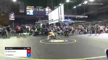 138 lbs Consi Of 64 #2 - Marco Spinazzola, Illinois vs Alex Naddeo, New Jersey