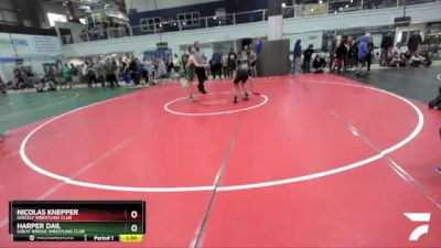 111 lbs Quarterfinal - Harper Dail, Great Bridge Wrestling Club vs Nicolas Knepper, Grizzly Wrestling Club