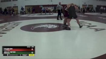 285 lbs Quarterfinal - Tyler Kim, Augsburg vs Brock Meyer, Wartburg