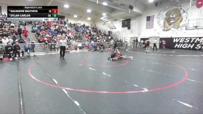 113 lbs Champ. Round 2 - Dylan Carlos, Shadow Hills vs Salvador Bautista, Palm Desert