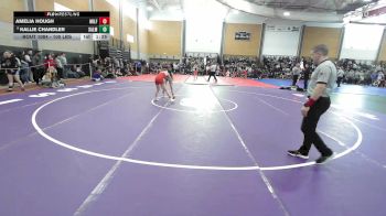 100 lbs Quarterfinal - Amelia Hough, Milford vs Kallie Chandler, Salem