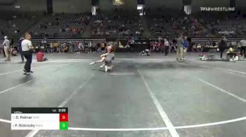 141 lbs Round Of 16 - Deegan Palmer, Northeastern vs Parker Dobrocky, Rochester Community & Technical College